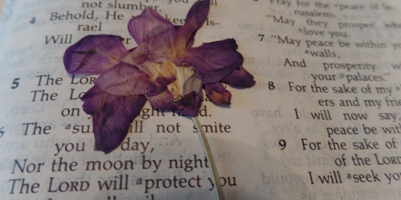 Flower on a Bible